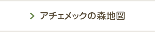 アチェメックの森地図