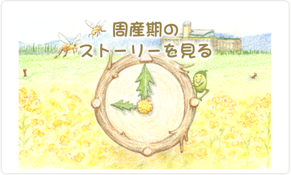 今回、改修をして整備するので、家作り職人のビーバーに登場してもらい、あらたな機能をみんなで作り上げていくストーリーとしています。