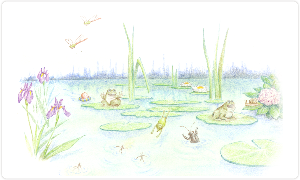 夏、池ではすいれんやハナショウブ、あじさいの花が咲き、どんぐり達はかえるやげんごろうの仲間に加わって一緒に水遊びをしました。