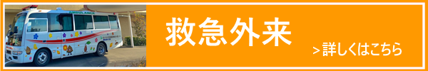 救命救急をご利用の方へ